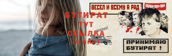 хмурый Инта