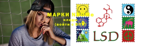 хмурый Инта