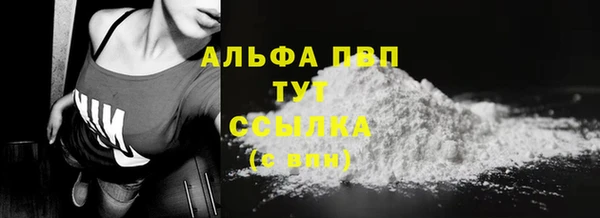 хмурый Инта