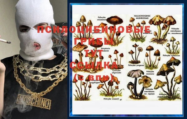 2c-b Иннополис