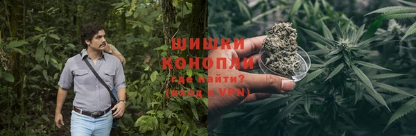 хмурый Инта