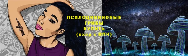 хмурый Инта