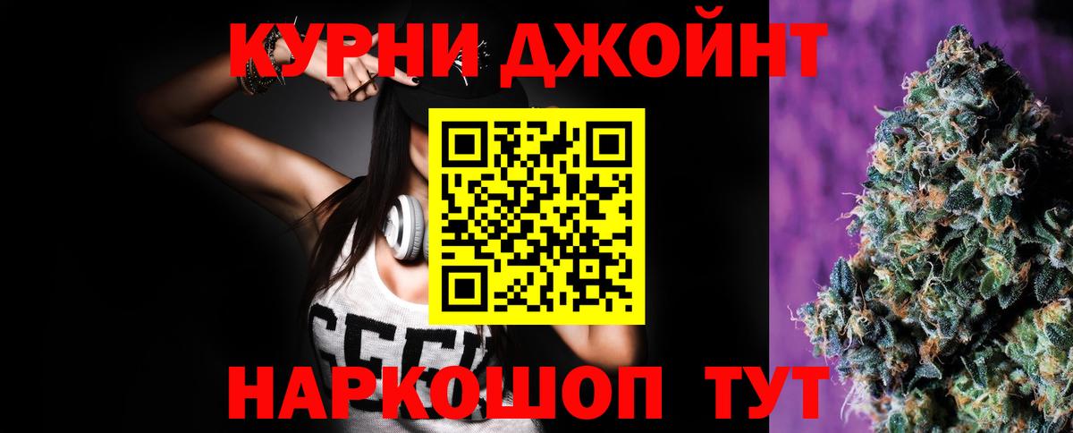 Каннабис сатива Кизляр